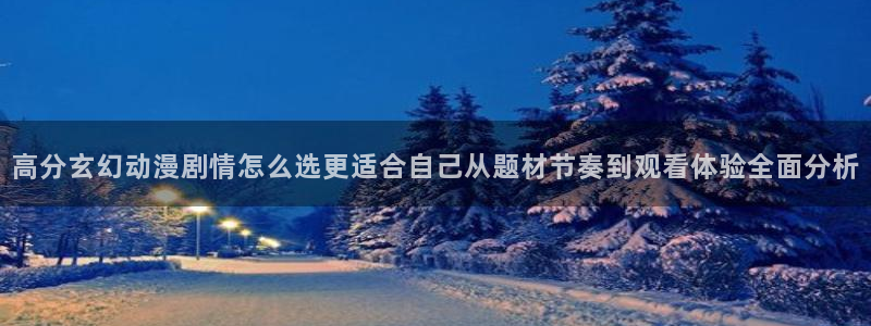 王者同人动漫