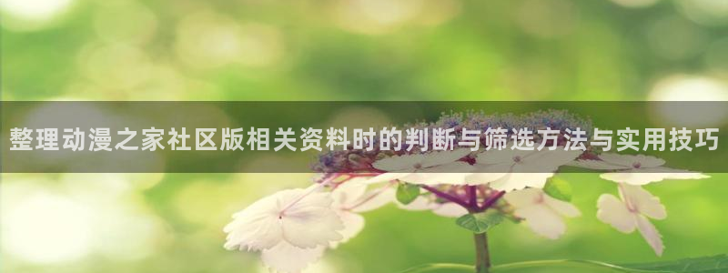 二次元动漫免费网站