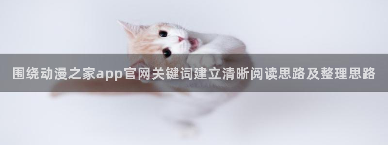 片子动漫推荐