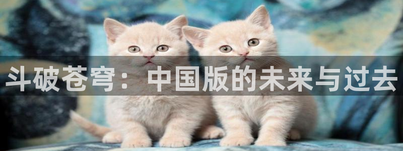 哔咔哔咔动漫