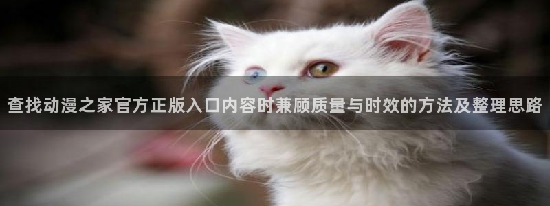 动漫之岛