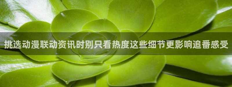 国产动漫排行榜前十名
