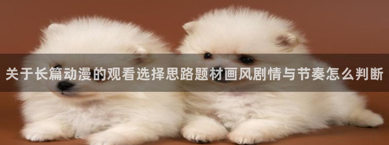 国产动漫排行榜前十名:关于长篇动漫的观看选择思路题材画风剧情与节奏怎么判断